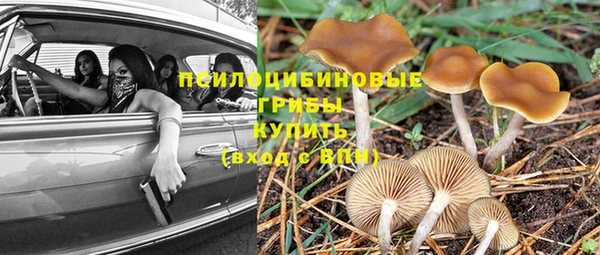 mdpv Ростов