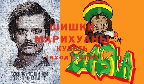 сатива Абаза