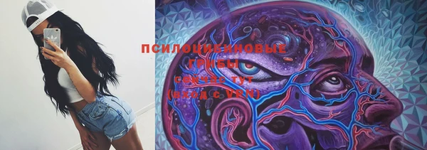 Альфа ПВП Абдулино