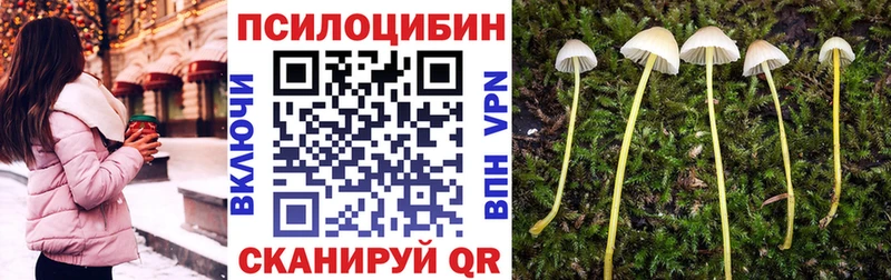 Псилоцибиновые грибы Psilocybe  Касли 